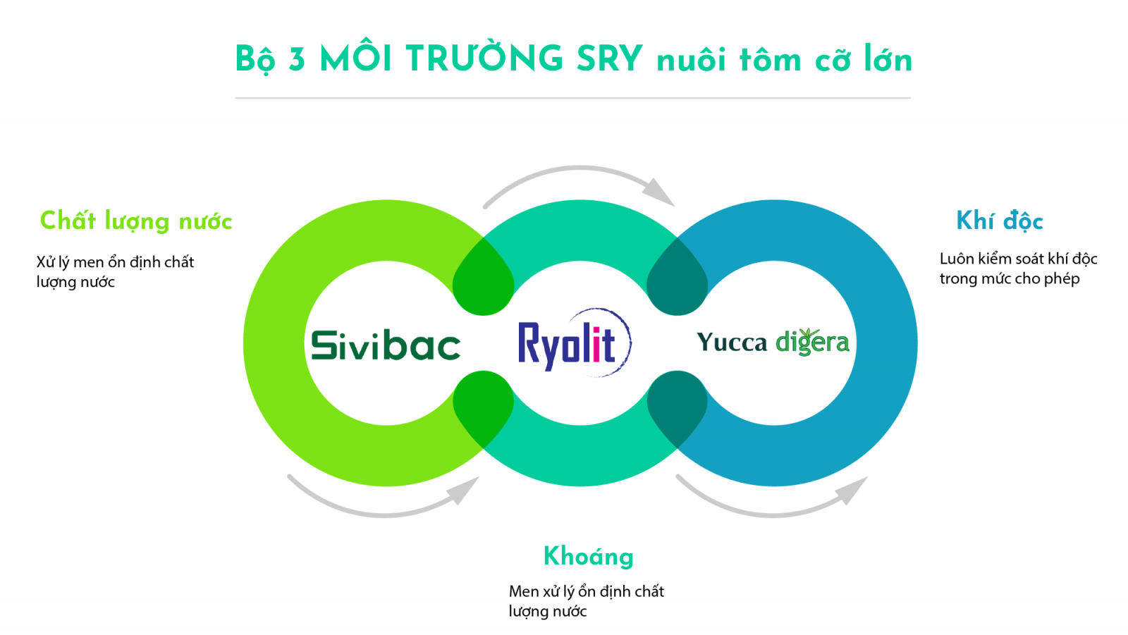 bộ 3 môi trường RSY nuôi tôm cở lớn