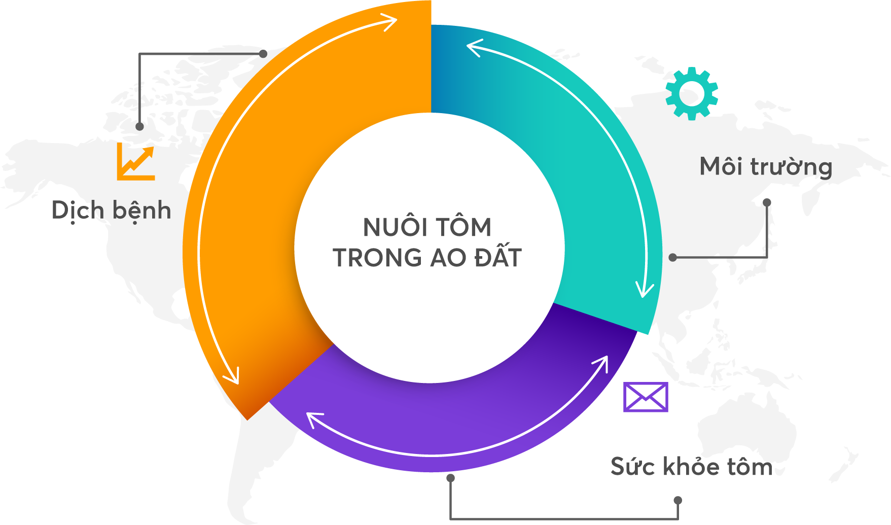 các cấn đề khi nuôi tôm thẻ ao đất