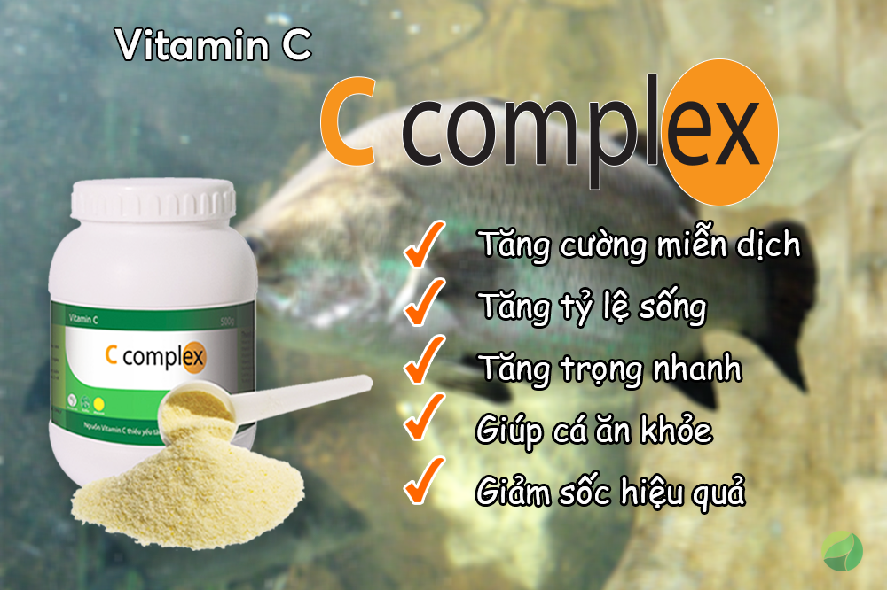 Vitamin C complex giúp tăng trọng cho cá chẽm