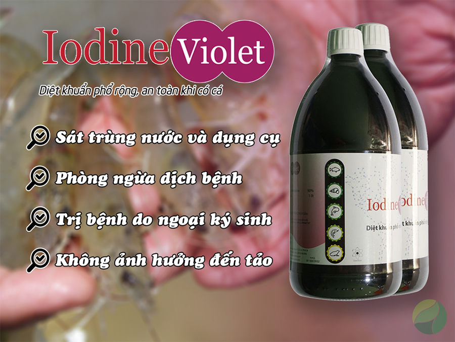 Iodine Violet