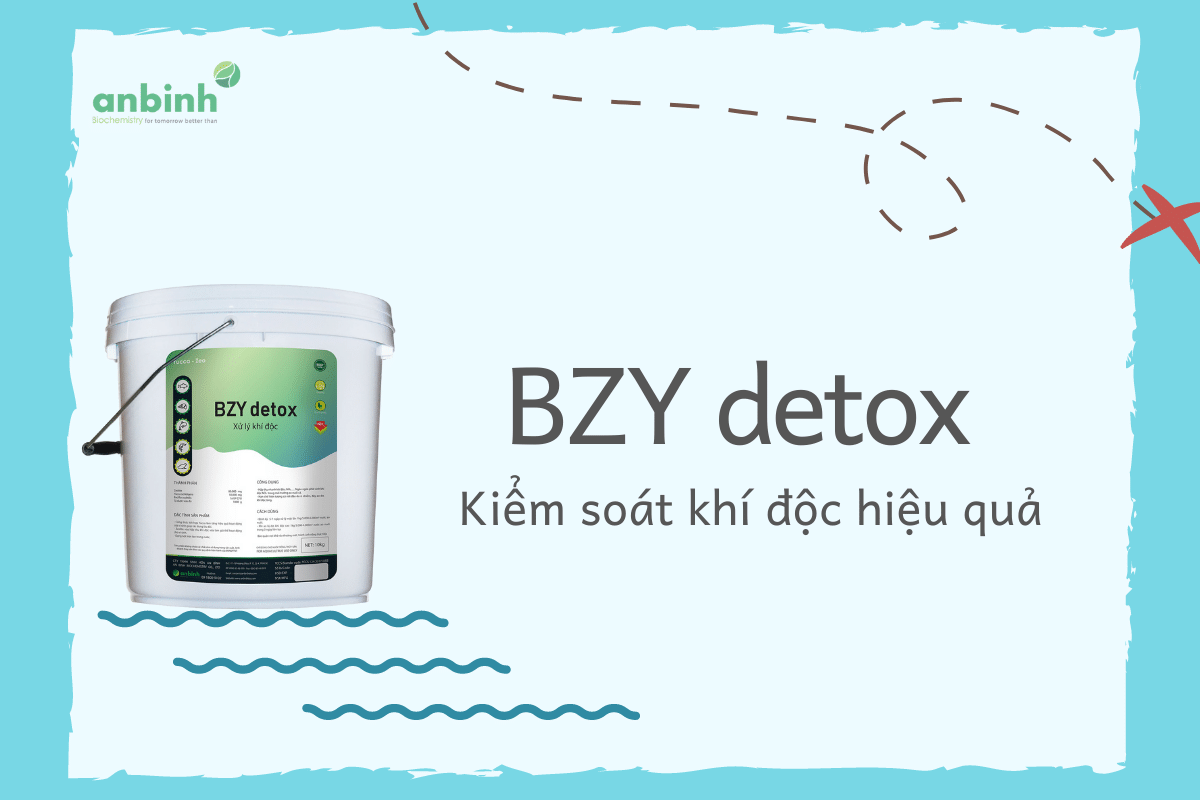 BZY detox - Kiểm soát khí độc hiệu quả