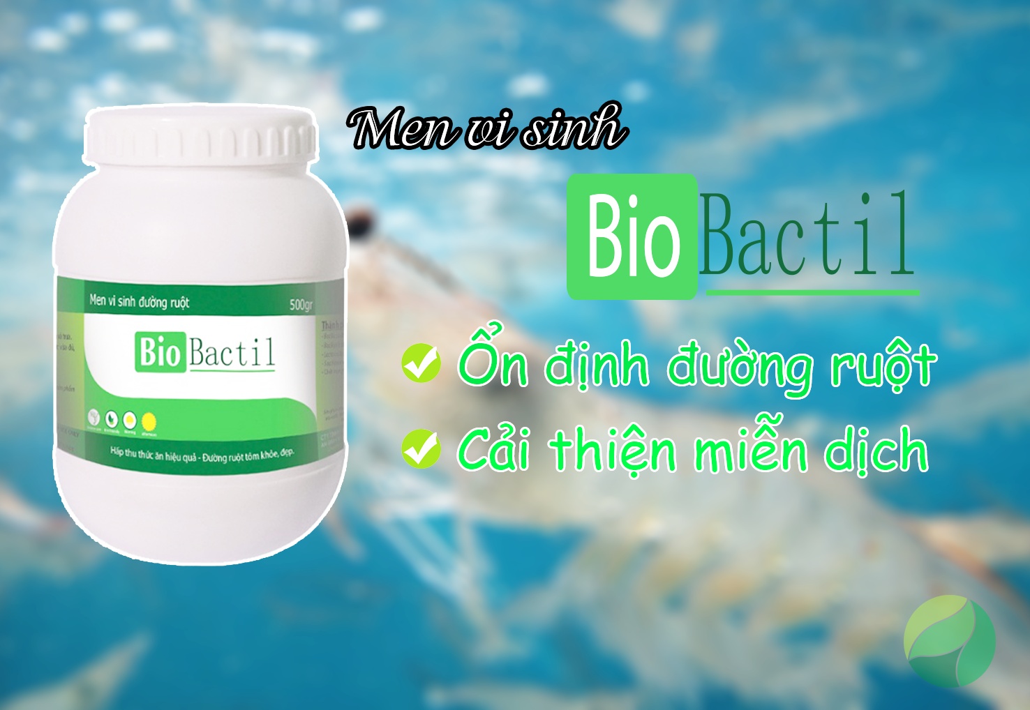 men tiêu hóa Bio bactil