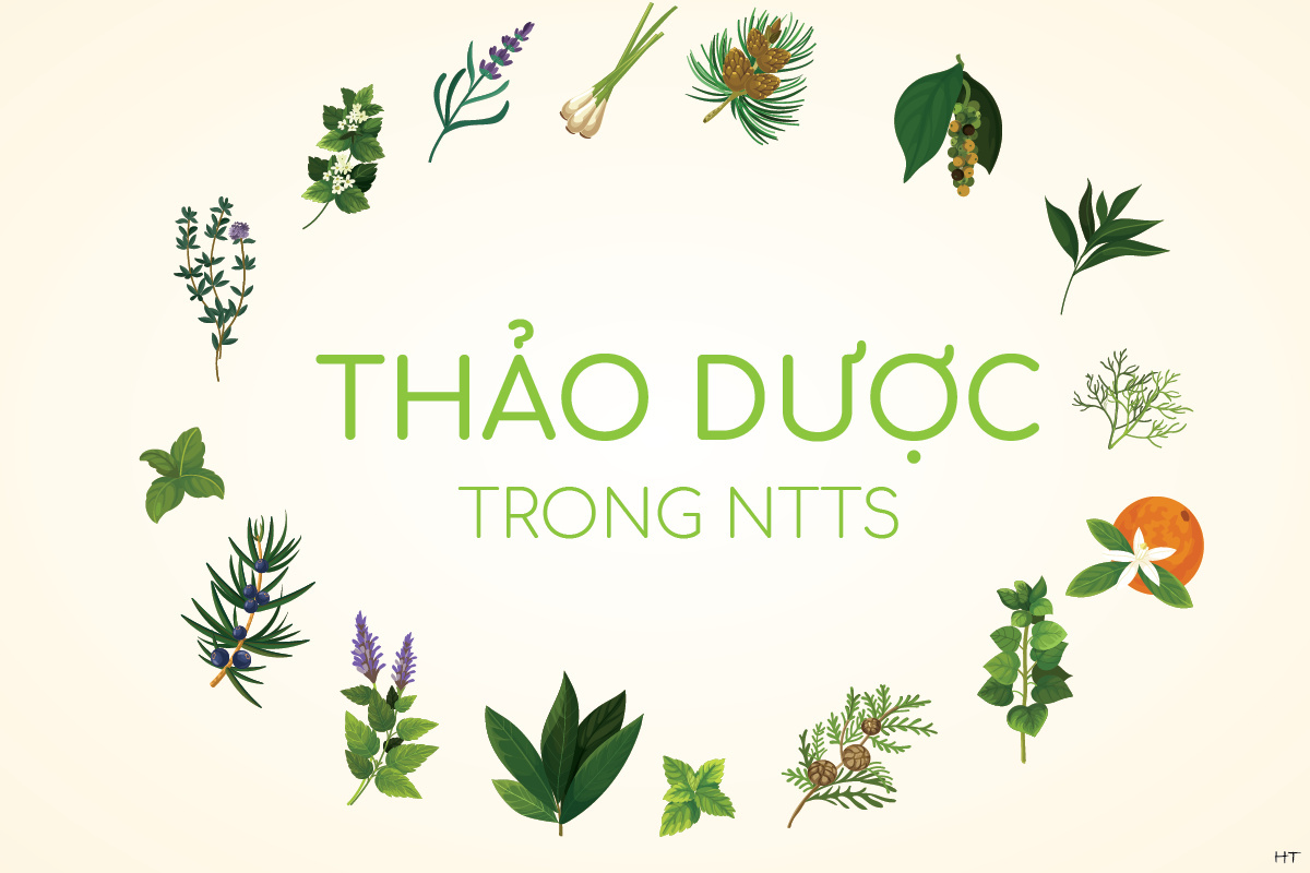 Sử dụng thảo dược trong nuôi thủy sản