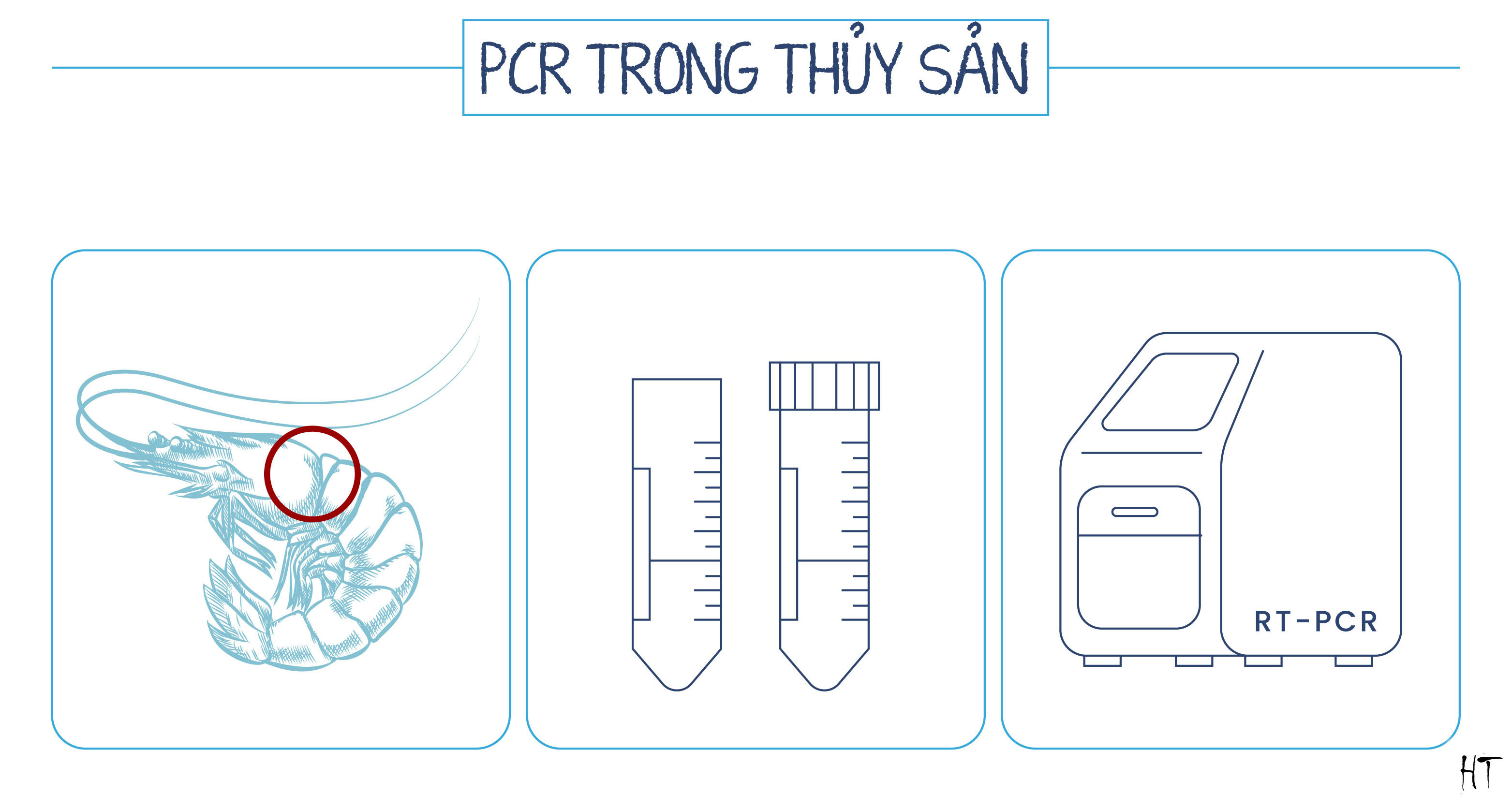 PCR chẩn đoán bệnh tôm