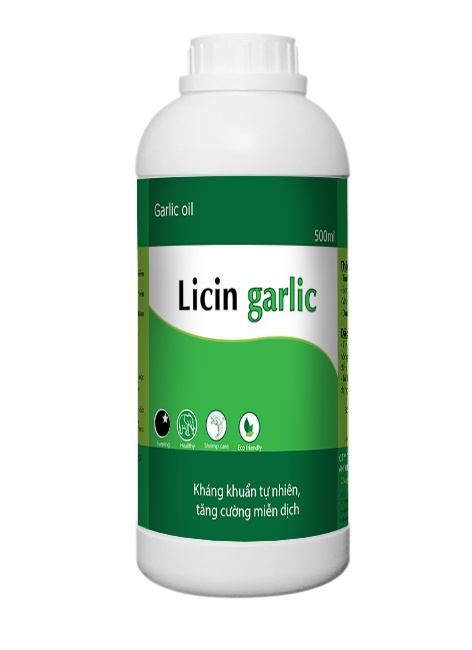 Garlic essential oil