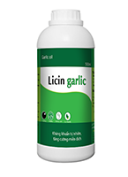 Licin garlic