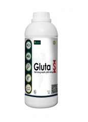 Gluta S