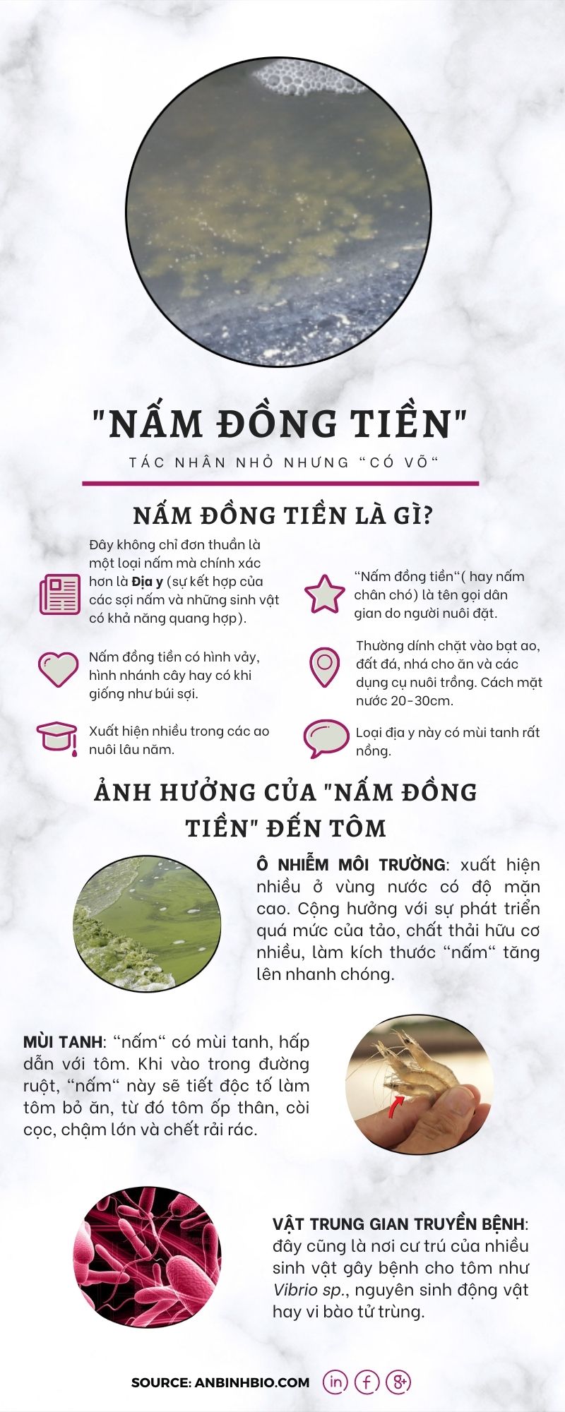 tác nhân