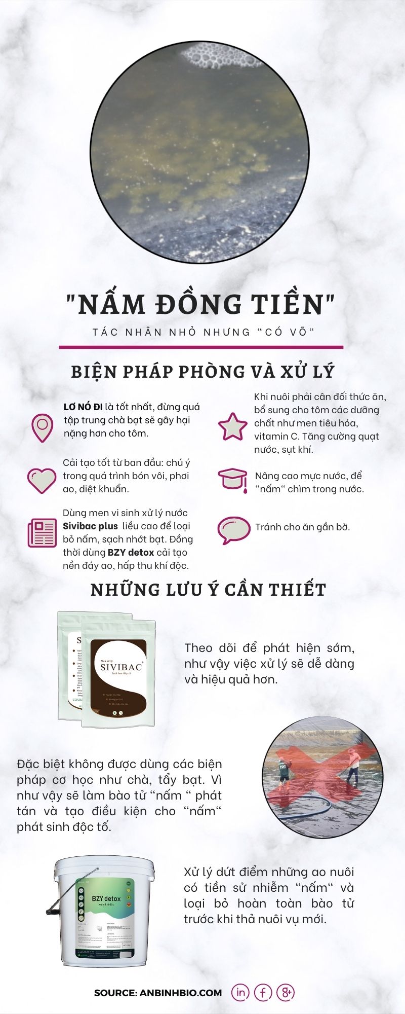 biện pháp khắc phục