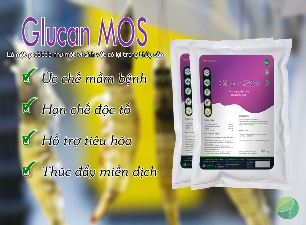 Glucan MOS