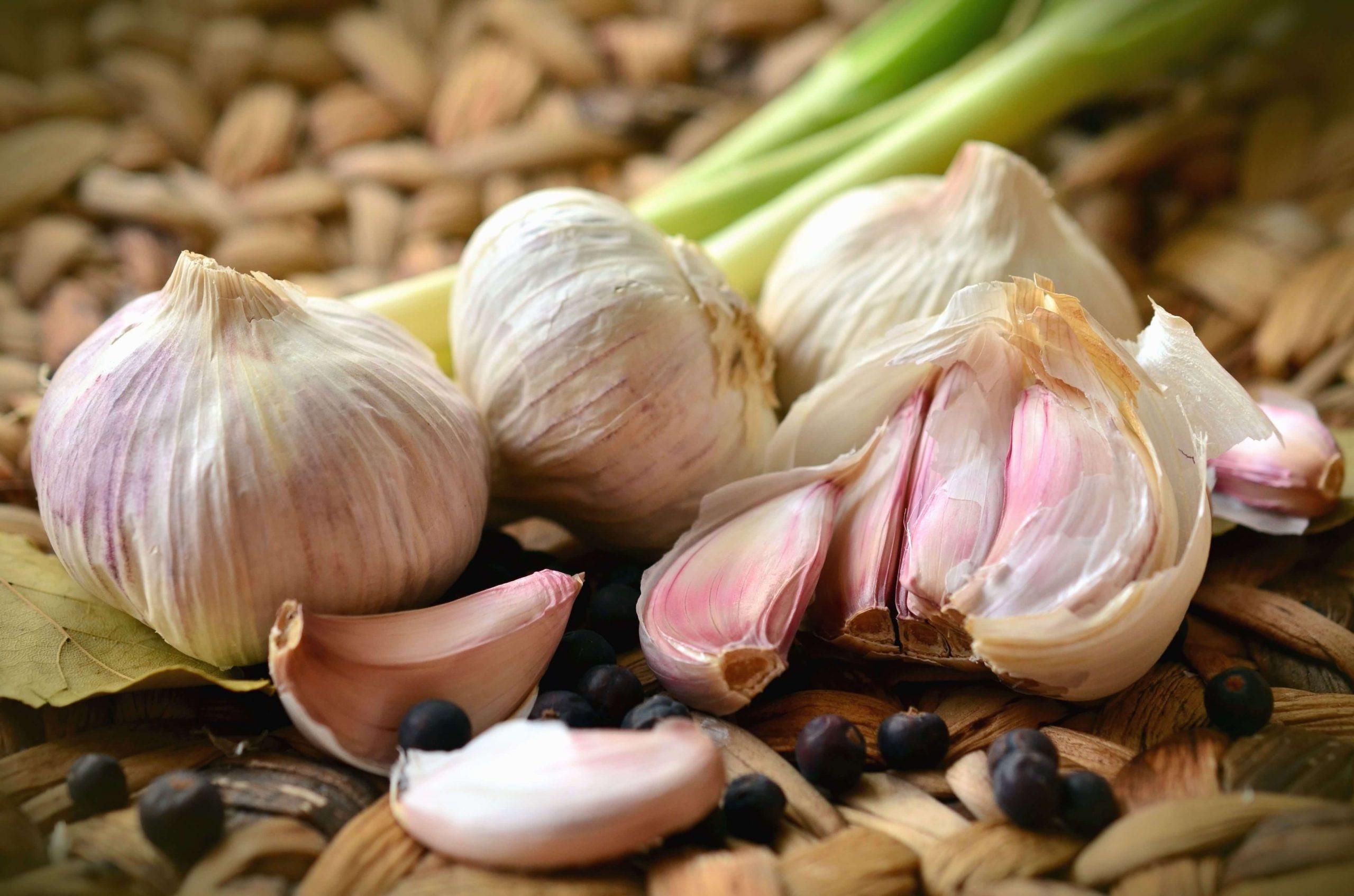 garlic